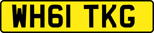 WH61TKG