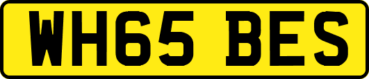 WH65BES