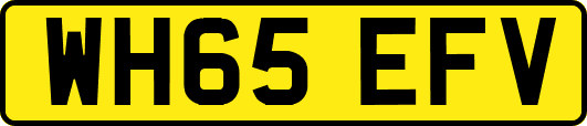 WH65EFV
