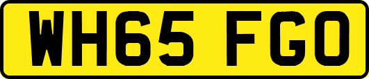 WH65FGO