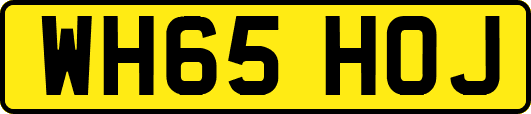WH65HOJ