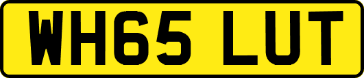 WH65LUT