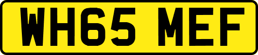 WH65MEF