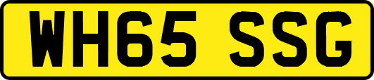 WH65SSG