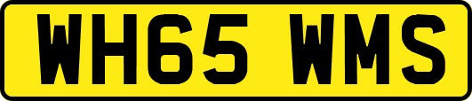 WH65WMS