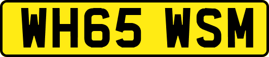 WH65WSM