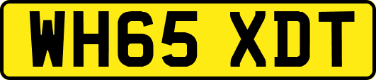 WH65XDT