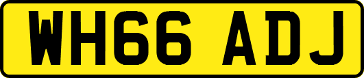 WH66ADJ