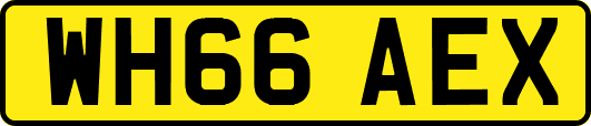 WH66AEX