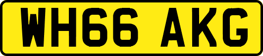 WH66AKG