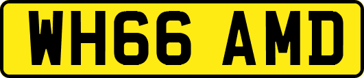WH66AMD