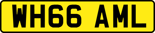 WH66AML