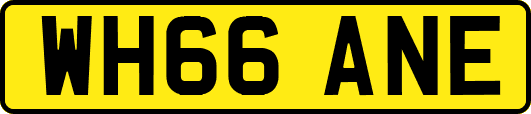 WH66ANE