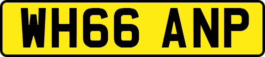 WH66ANP