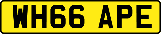 WH66APE