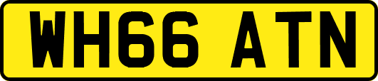 WH66ATN
