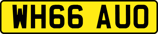 WH66AUO