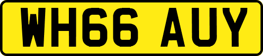 WH66AUY