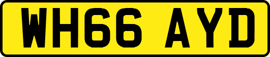 WH66AYD