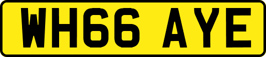 WH66AYE