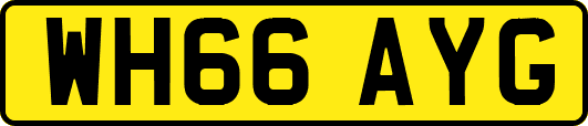 WH66AYG