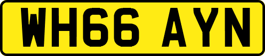 WH66AYN
