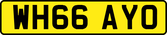 WH66AYO