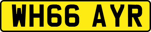 WH66AYR