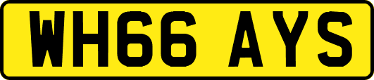 WH66AYS