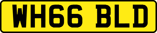 WH66BLD