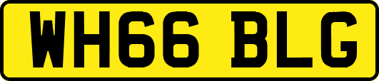 WH66BLG