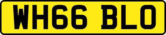 WH66BLO