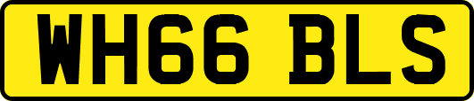 WH66BLS