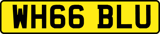 WH66BLU