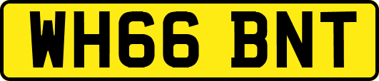 WH66BNT