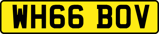 WH66BOV