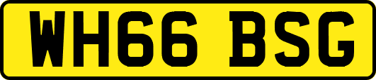 WH66BSG