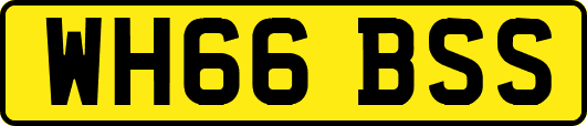 WH66BSS