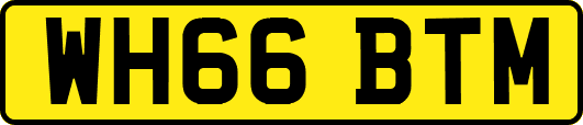 WH66BTM