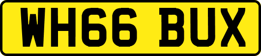 WH66BUX