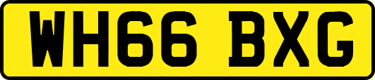 WH66BXG
