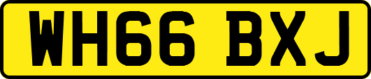 WH66BXJ