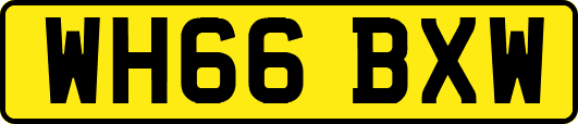 WH66BXW