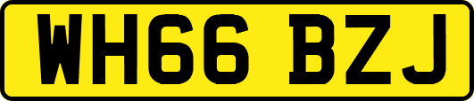 WH66BZJ