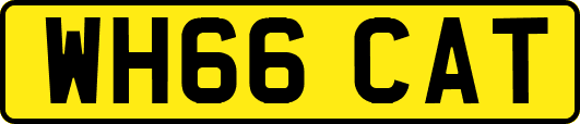 WH66CAT