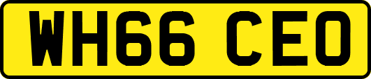 WH66CEO