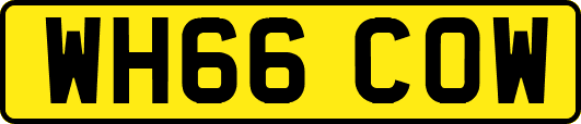 WH66COW