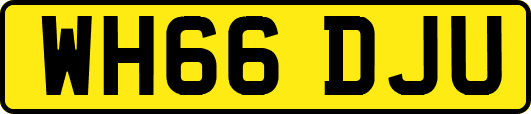 WH66DJU