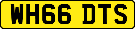 WH66DTS