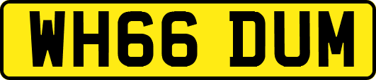 WH66DUM